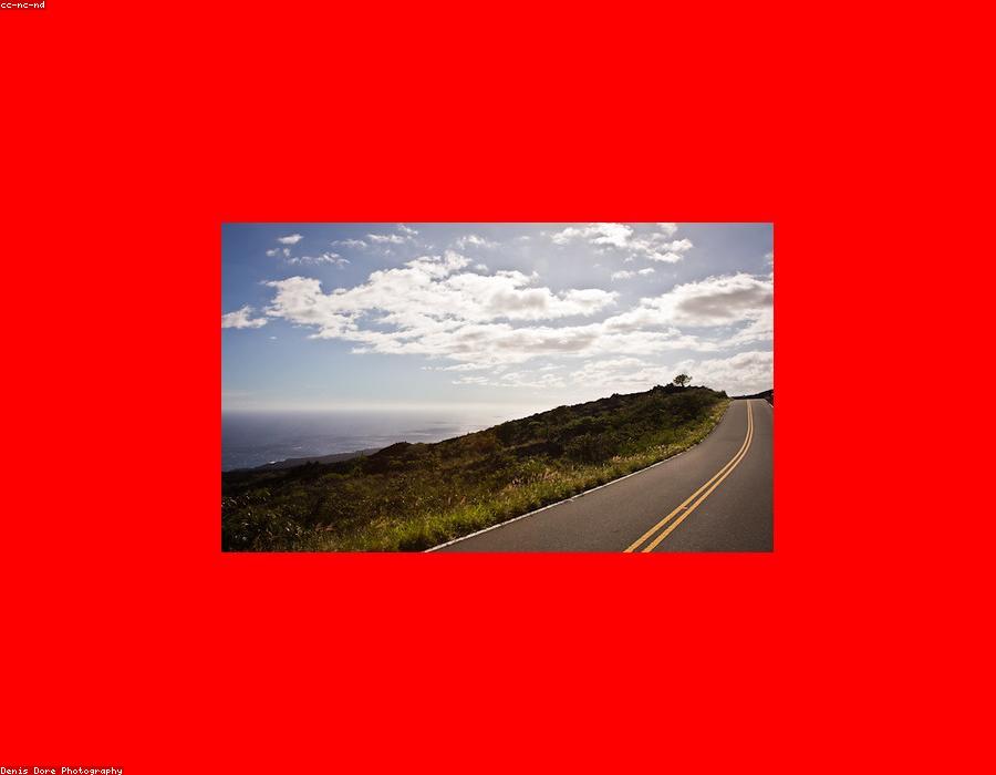 Easy Go Rentals